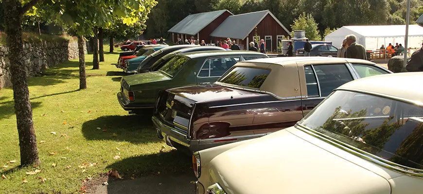 Bilar för den bilintresserade.